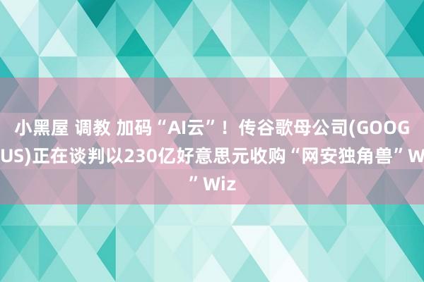 小黑屋 调教 加码“AI云”！传谷歌母公司(GOOGL.US)正在谈判以230亿好意思元收购“网安独角兽”Wiz