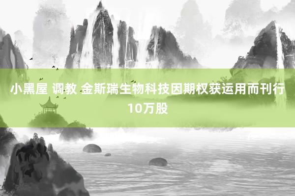 小黑屋 调教 金斯瑞生物科技因期权获运用而刊行10万股