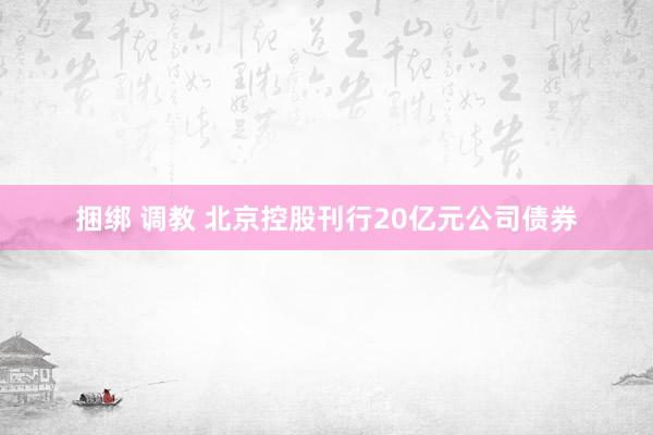 捆绑 调教 北京控股刊行20亿元公司债券