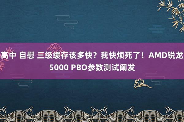 高中 自慰 三级缓存该多快？我快烦死了！AMD锐龙5000 PBO参数测试阐发